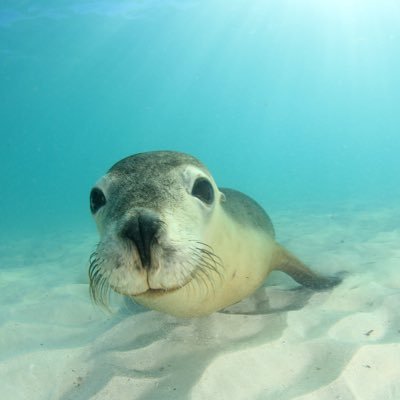 XFndii2k's profile picture. Put GOD FRIST