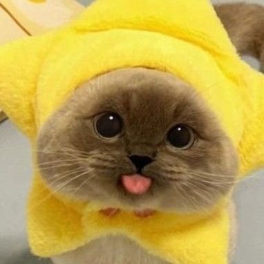 xxyhshjwjabw's profile picture. 