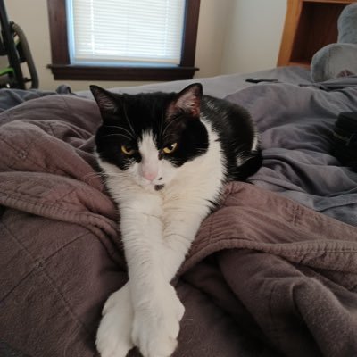 Barbara52296039's profile picture. 