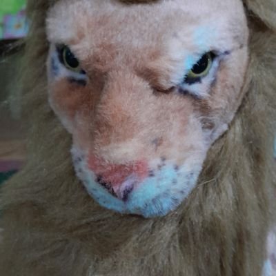 querosexoo0's profile picture. King off Zap zap