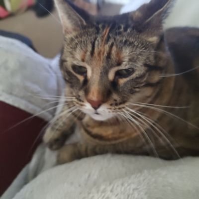 Denny1140253's profile picture. 