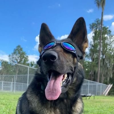 Dr_howard_deez's profile picture. well, it all started when i was born