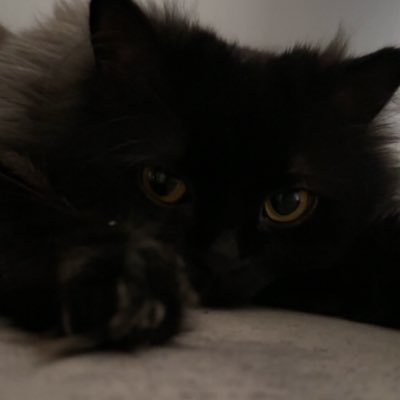cさんのプロフィール画像