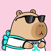 Aditya | 𝔽rAI (@rahuladi11) 's Twitter Profile