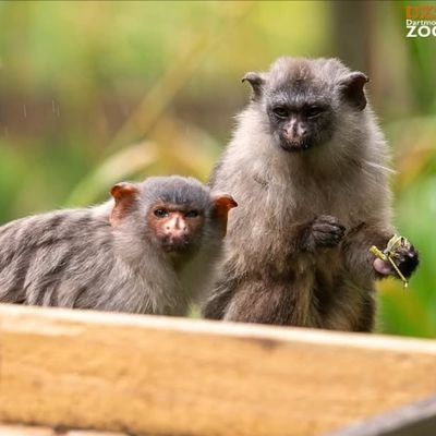 CharlotteDoran's profile picture. 