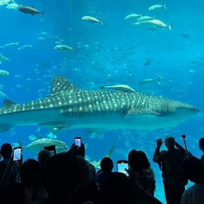 双極性障害16年のシングルマザー。
昔は、パニック障害持ちでした。
成人した息子4人居ます。
長男も双極性障害。
私は、ほぼ寛解して、少しバイト出来るようになりました。しかし、悩みの種で鬱状態になる時もありますよ。
気軽に宜しくお願いします🍀*゜