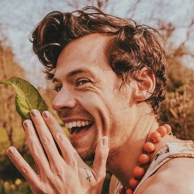 “𝐝𝐨𝐧'𝐭 𝐚𝐬𝐤 𝐟𝐨𝐫 𝐭𝐡𝐞 𝐦𝐨𝐨𝐧, 𝐰𝐞 𝐡𝐚𝐯𝐞 𝐭𝐡𝐞 𝐬𝐭𝐚𝐫𝐬”
mod :「 ❀ @harrystylescit 」
