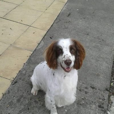 RachelUnwi4891's profile picture. 