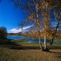 Melindaf7b's profile picture. 分析力の高い、経済動向に敏感な性格で、カフェ巡り、化粧品開発、動画編集などに興味を持っています。現在は在宅ワークをメインに生活です。