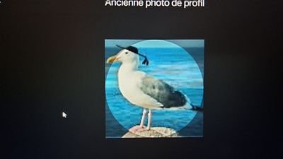 caloubreiz98789's profile picture. 