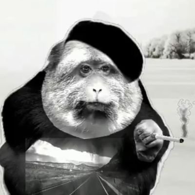 bahbrunoo's profile picture. Socialismo & Macumba