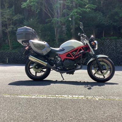 msmasterplus's profile picture. 川崎フロンターレ、家長昭博、猶本光(浦和→ベレーザ)を応援中。スルーパスが好物。保護犬カフェ、ミニチュアダックスフンドが好き。愛車はホンダVTR250(白タンク、赤トラスフレーム)(通称、小熊號)2022-01〜。2024-5月、普通二輪→大型二輪免許取得。