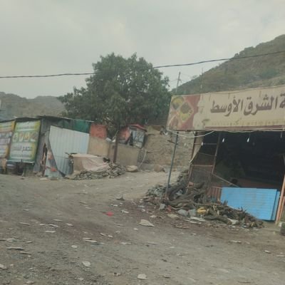 mmdly13748's profile picture. أنا جاد وصادق