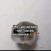 agonlzed (skripsi era) (@ackermanblublu) 's Twitter Profile