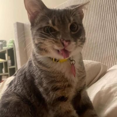 gmdqseido's profile picture. hi