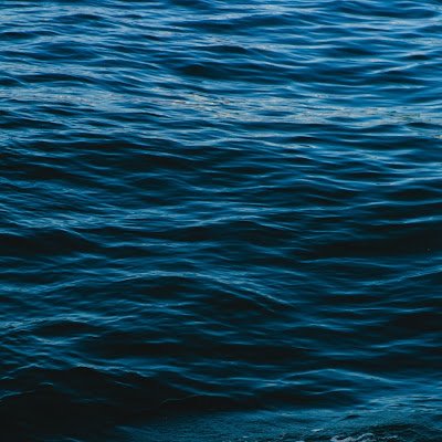 bl62665704's profile picture. 