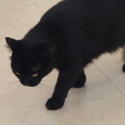 r_ququ44708's profile picture. 쿠후 // 돌판은 처음이라 아직 어색하고 미숙합니다 //  덕질은 행복하게 // 도플리 // 비계 》 @lee_quhu0