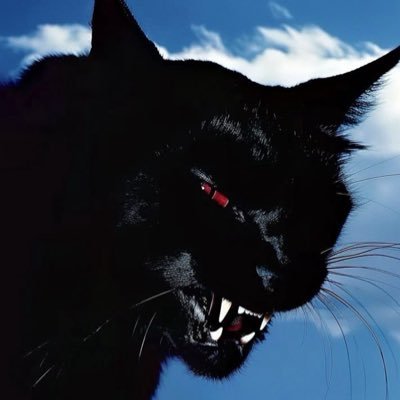 Element8_'s profile picture. Life.