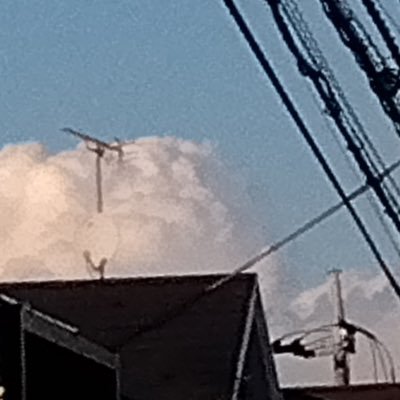 sybecshsj's profile picture. 20↑