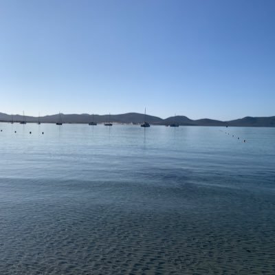 Swissaround7's profile picture. Lifelong gamer, learners & trenches architect🇨🇭