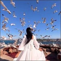 Ella-Rose (@x0sfqgm1f90wb3) 's Twitter Profile