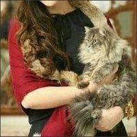 Maddie (@9dm5ah1vq9fagr) 's Twitter Profile