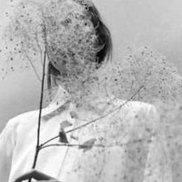 Tlarhui22059's profile picture. 