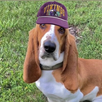 Lifelong @Vikings fan #Skol / @USMC veteran / Snowplow Operator / Commissioner of the EFFL on @SleeperHQ