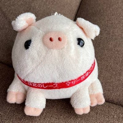 mdcerccc's profile picture. ふわふわなことだけ考えてたい