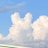 omoochi_rabbit