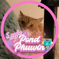 🐈Chayen🐼🐻PPPhw🤍🧡🍞 (@na_savii) 's Twitter Profile