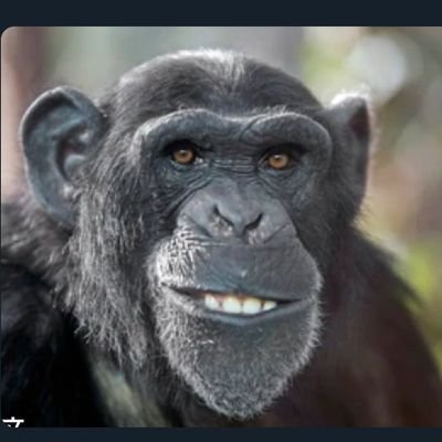 Angl14183945's profile picture. 