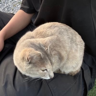 りょうさんのプロフィール画像