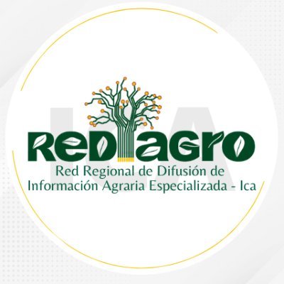 rediagroica's profile picture. Plataforma de servicios de información agraria en beneficio de los productores de la Región Ica.