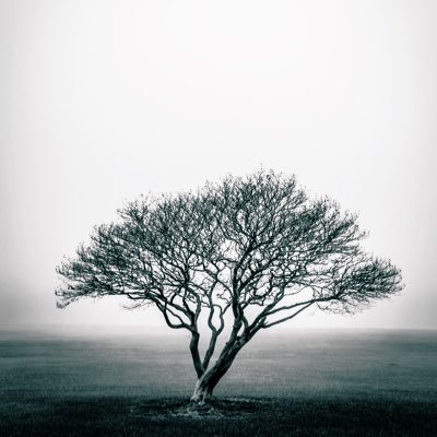 ElifGrhan225273's profile picture. 