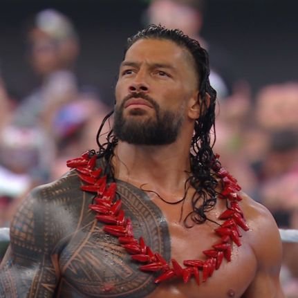 Shield girlie🥺
Bloodline Stan🩸
Rolleigns 🥺
The Usos🫀