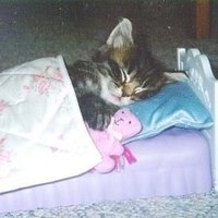 lala (@trusthproces) 's Twitter Profile