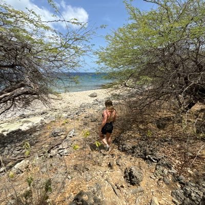 DeniseWarmerdam's profile picture. 