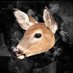 Doe (@crockof06) Twitter profile photo Doe (@crockof06) Twitter profile photo