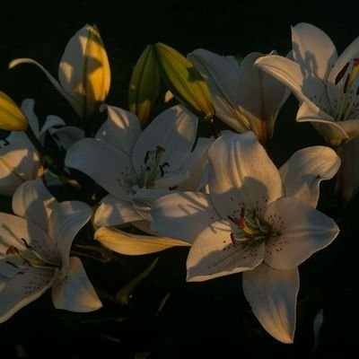 Nothing specific, Only scenes of animals, sun rays or trees and flowers make your eyes sparkle.