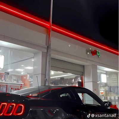 nazolzf's profile picture. 16 🇺🇸🇵🇸