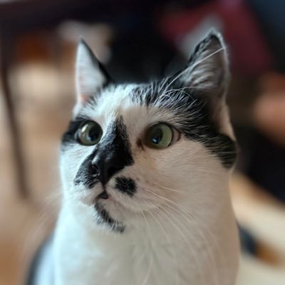 prettiest boy in the neighborhood | picky eater | pandemic baby | only child | epileptic | airplane ears specialist | likes yoghurt, killing moths & sleeping