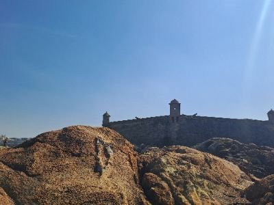 DallasMithi's profile picture. Gordinho que Ama Paizão