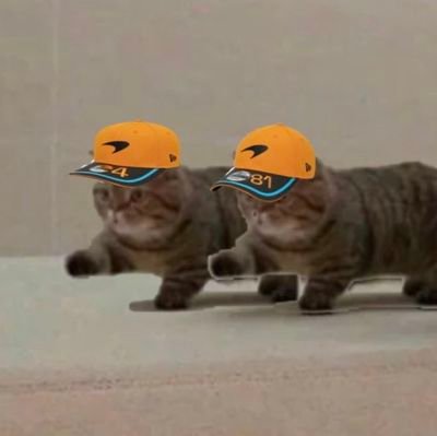 MeteorsInJune_⁴⁸¹ ⁴³ ⁵ ²³ ¹¹さんのプロフィール画像