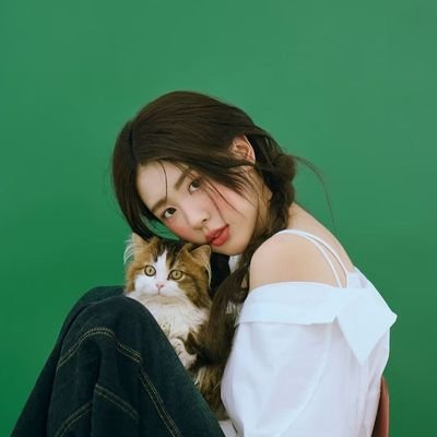 merdseka's profile picture. 