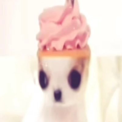 ilovepandas111's profile picture. zweena twin . sailors and sumikko gurashi