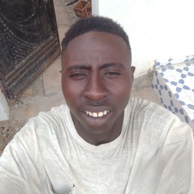 am here to make friends
religion Muslim
tribe Mandinka
occupational Student