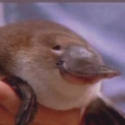 Gua_w043's profile picture. 