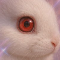 ACT AI: Animal Illusion (@actai_) 's Twitter Profile Photo