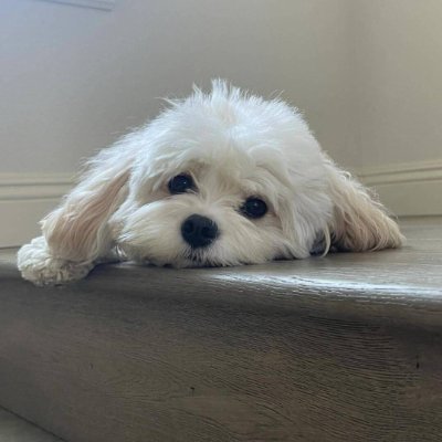 Live_vio9's profile picture. 